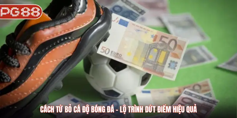 Cách Từ Bỏ Cá Độ Bóng Đá Và Lộ Trình Dứt Điểm Hiệu Quả Cho Người Chơi Cách từ bỏ cá độ bóng đá - Lộ trình dứt điểm hiệu quả