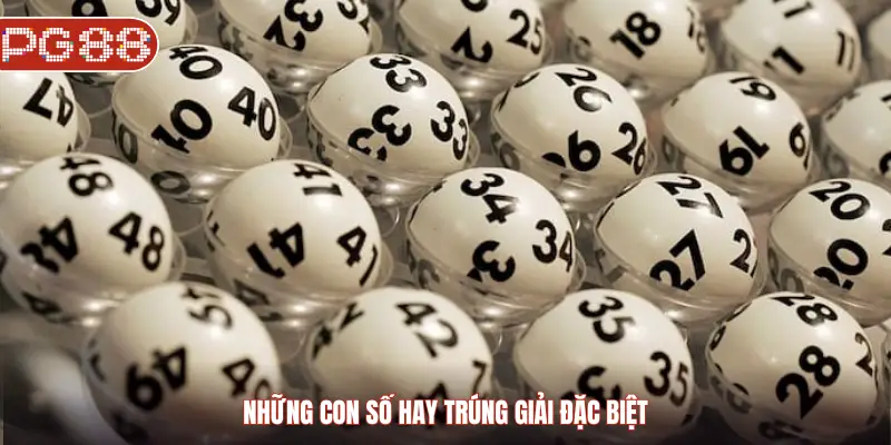 Những Con Số Hay Trúng Giải Đặc Biệt Và Bí Quyết Chọn Đúng Những con số hay trúng giải đặc biệt